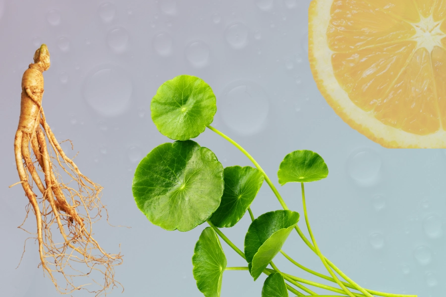 ginseng, gotu kola, and lemon slice_